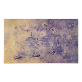 Impresión fotográfica de abejas espaciales