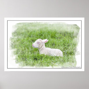 Impresión fotográfica de Acuarela del pequeño