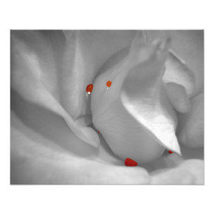 Impresión fotográfica de acuarela eoliana