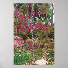 Impresión fotográfica de árbol de flor rosa