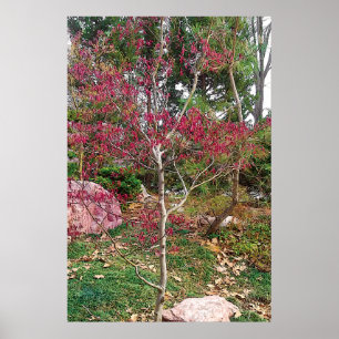 Impresión fotográfica de árbol de flor rosa