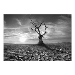 Impresión fotográfica de árbol del desierto