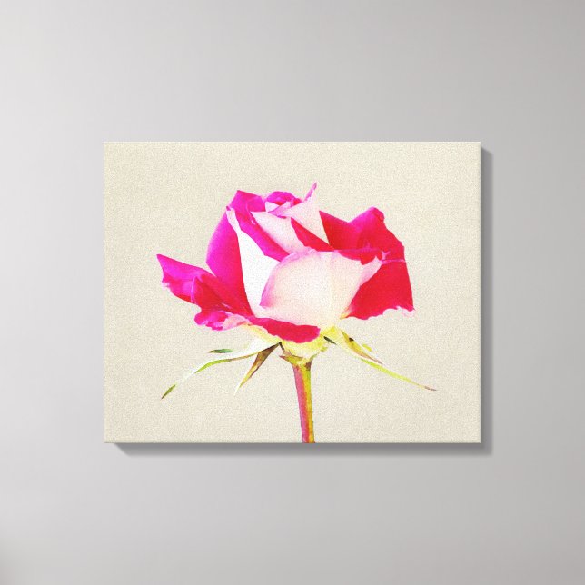 Impresión fotográfica de arte de rosa única (Anverso)