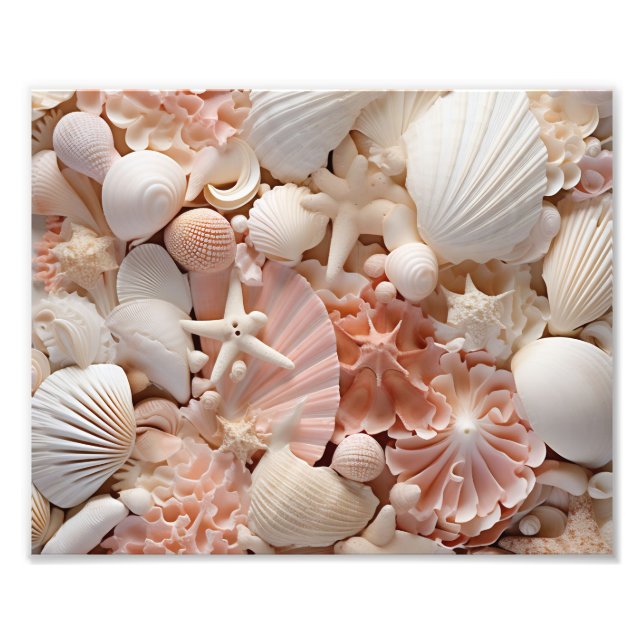 Impresión fotográfica de conchas de mar (Frente)