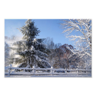 Impresión fotográfica de Crisp 12x8 por la mañana