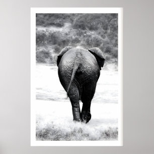 Impresión fotográfica de elefante Arte de la natur