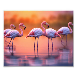 Impresión fotográfica de flamencos