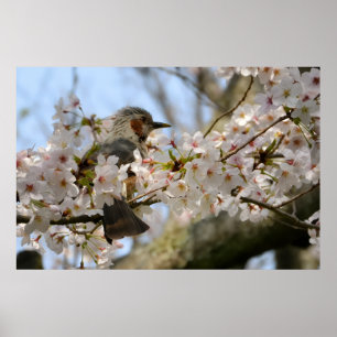 Impresión fotográfica de flor de cerezo Birdie Jej