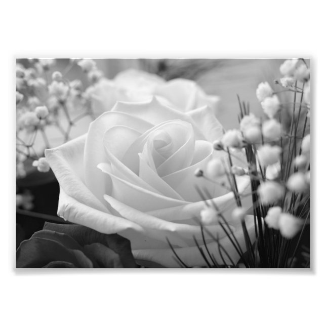Impresión fotográfica de flores B&W de rosa blanca (Frente)