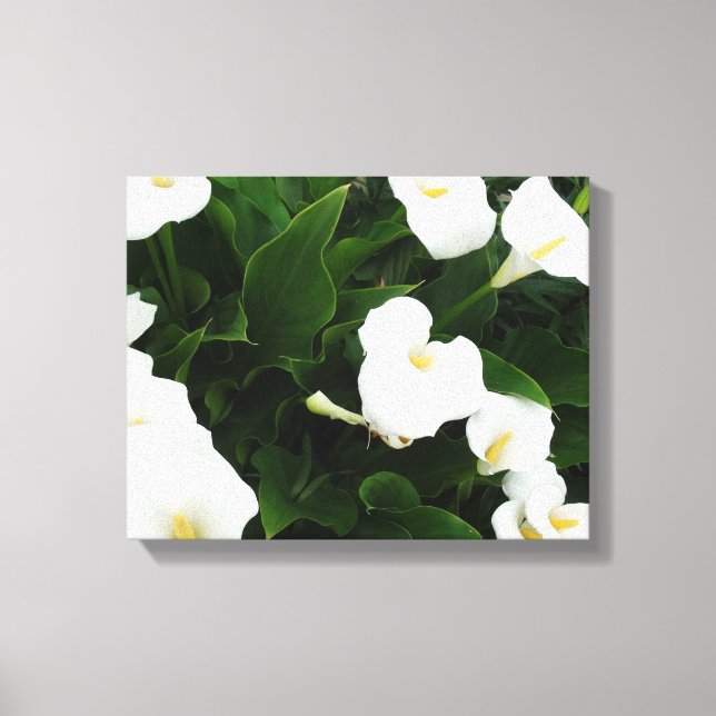 Impresión fotográfica de flores blancas (Anverso)