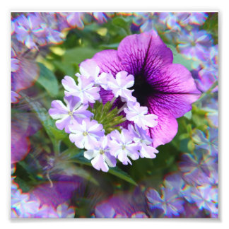 Impresión fotográfica de flores púrpuras y blancas