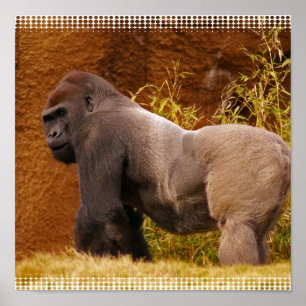 Impresión fotográfica de gorila de Silverback