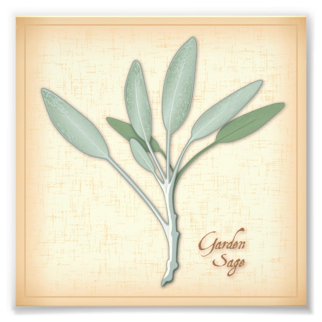 Impresión fotográfica de hierba de jaula de jardín (Frente)