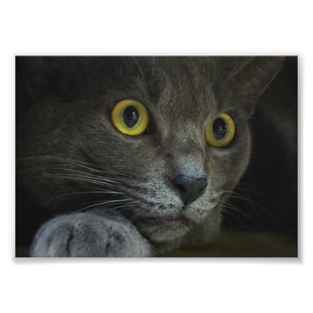 Impresión fotográfica de intensidad (Frente)