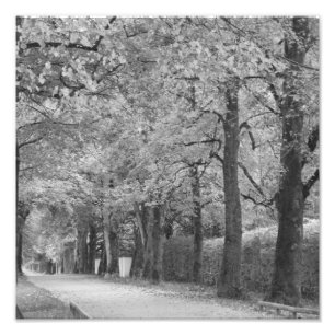 Impresión fotográfica de la "arcada"