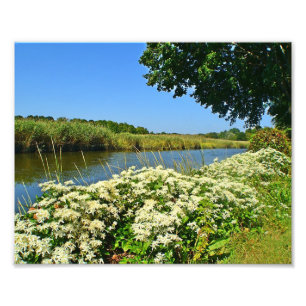 Impresión fotográfica de Marsh de Guilford