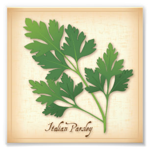 Impresión fotográfica de Parsley Italiana
