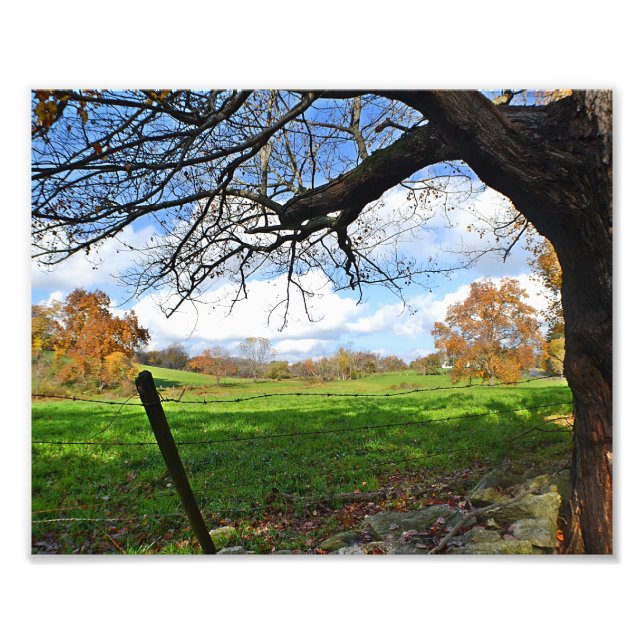 Impresión fotográfica de pastizal en otoño (Frente)