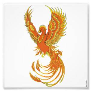 Impresión fotográfica de Phoenix Rising