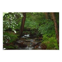 Impresión fotográfica de pista de caballo de hierr