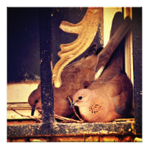 Impresión fotográfica de preparación