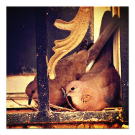 Impresión fotográfica de preparación