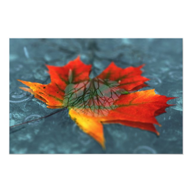 Impresión fotográfica de reflexión (Frente)