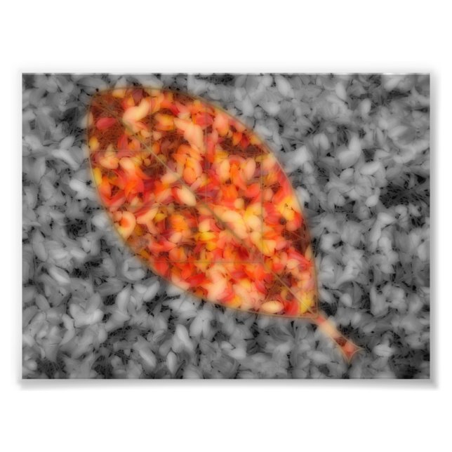 Impresión fotográfica de sombras brillantes (Frente)