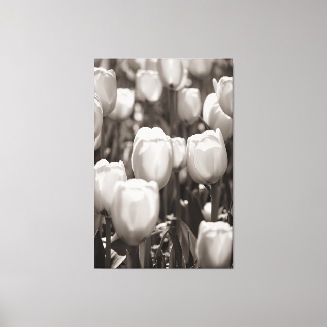 Impresión fotográfica de tulipanes rojos (Anverso)