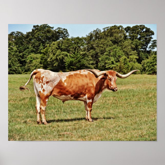 Impresión fotográfica de vaca longhorn en Texas (Frente)