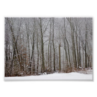 Impresión fotográfica de Winters Niebla 7x5