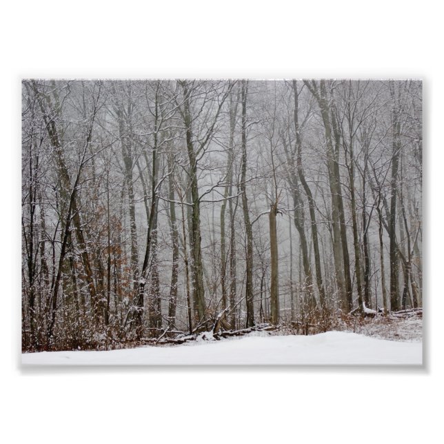Impresión fotográfica de Winters Niebla 7x5 (Frente)