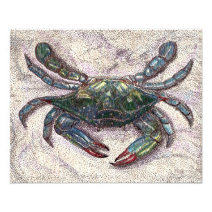 Impresión fotográfica del Crab Azul de la Bahía de