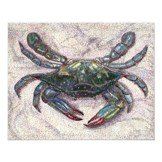 Impresión fotográfica del Crab Azul de la Bahía de (Frente)