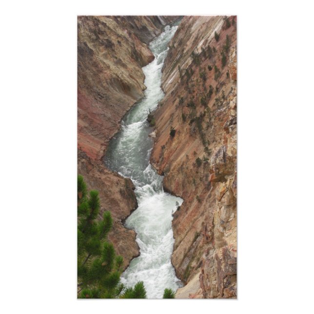 Impresión fotográfica del río Yellowstone (Frente)