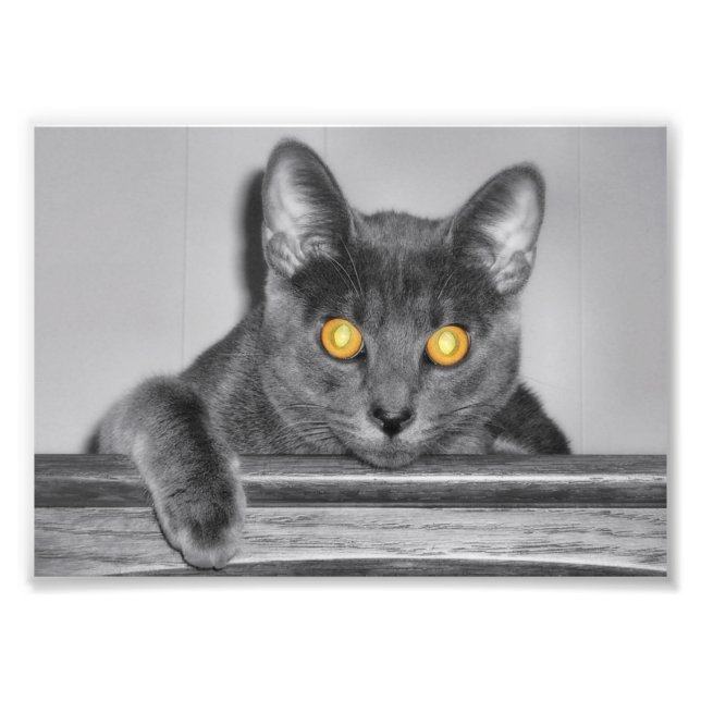 Impresión fotográfica Dusky Gold (Frente)