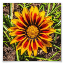 Impresión fotográfica Floral 1