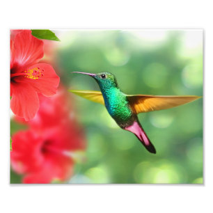 Impresión fotográfica - Impresión fotográfica de c