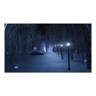 Impresión fotográfica ligera de tontos