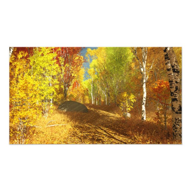 Impresión fotográfica ligera en disminución (Frente)