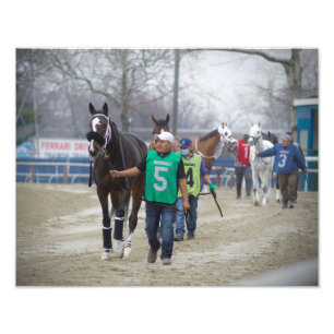 Impresión fotográfica magnética