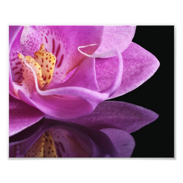 Impresión fotográfica Orquídea (Frente)