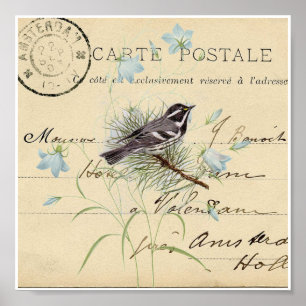 Impresión francesa del arte de la postal de la