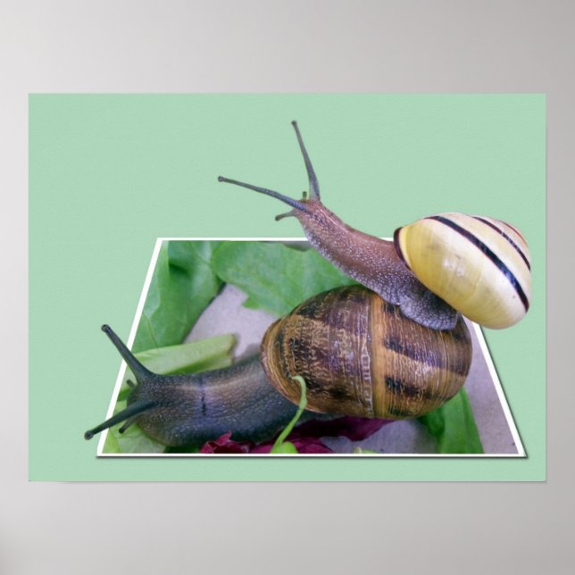 Impresión fuera de límites (Frente)