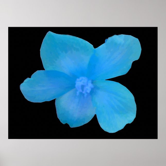 Impresión hermosa de flores de Begonia azul (Frente)