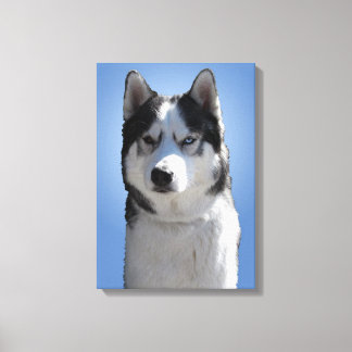 Impresión Husky Estirada Husky Malamute Canvas de