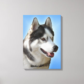 Impresión Husky Estirada Husky Malamute Canvas de