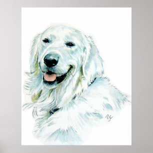 Impresión inglesa del golden retriever