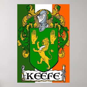 Impresión irlandesa de la bandera del escudo de