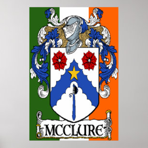 Impresión irlandesa de la bandera del escudo de